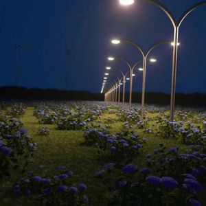 日本黄页网站免费大全
