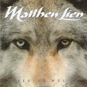 日本黄页网站免费大全
