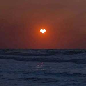 日本黄页网站免费大全
