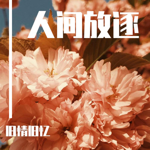 日本黄页网站免费大全
